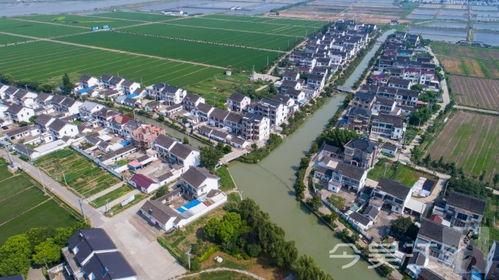 吴江东联村新闻爆料,揭秘乡村振兴新亮点  第3张