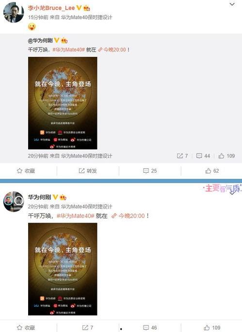 哈雷特爆料视频大全最新,揭秘娱乐圈不为人知的秘密瞬间  第3张