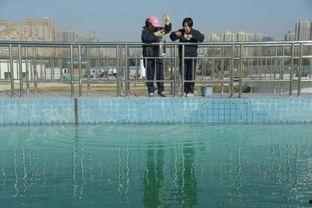 石家庄水厂爆料视频大全,揭露水质问题背后的真相  第3张